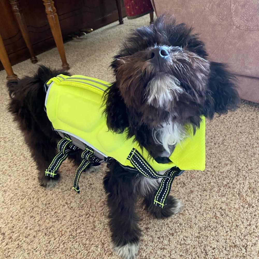 Puppy Life Vest